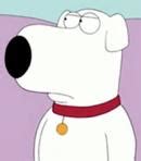 who is the voice of brian griffin